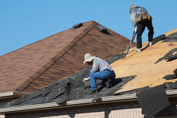 Best Rubber Roofing (EPDM, TPO)  in Plentywood, MT